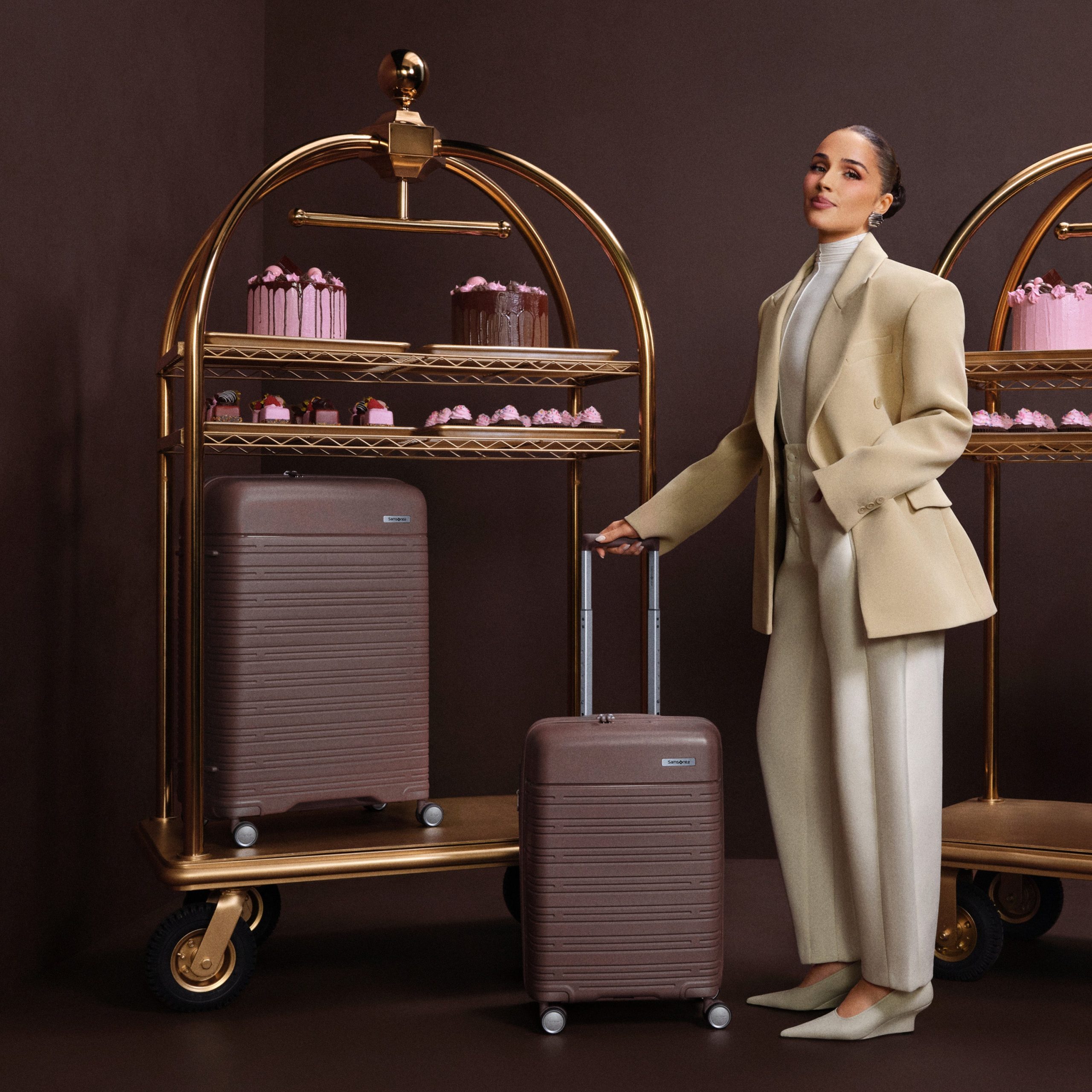 Elevation™ Plus Hardside Large Spinner Chocolate Mauve - Image 2